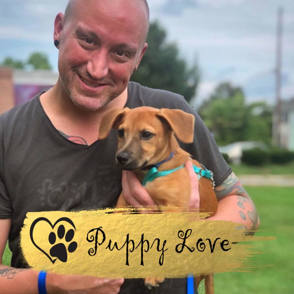 Meet your Posher, David